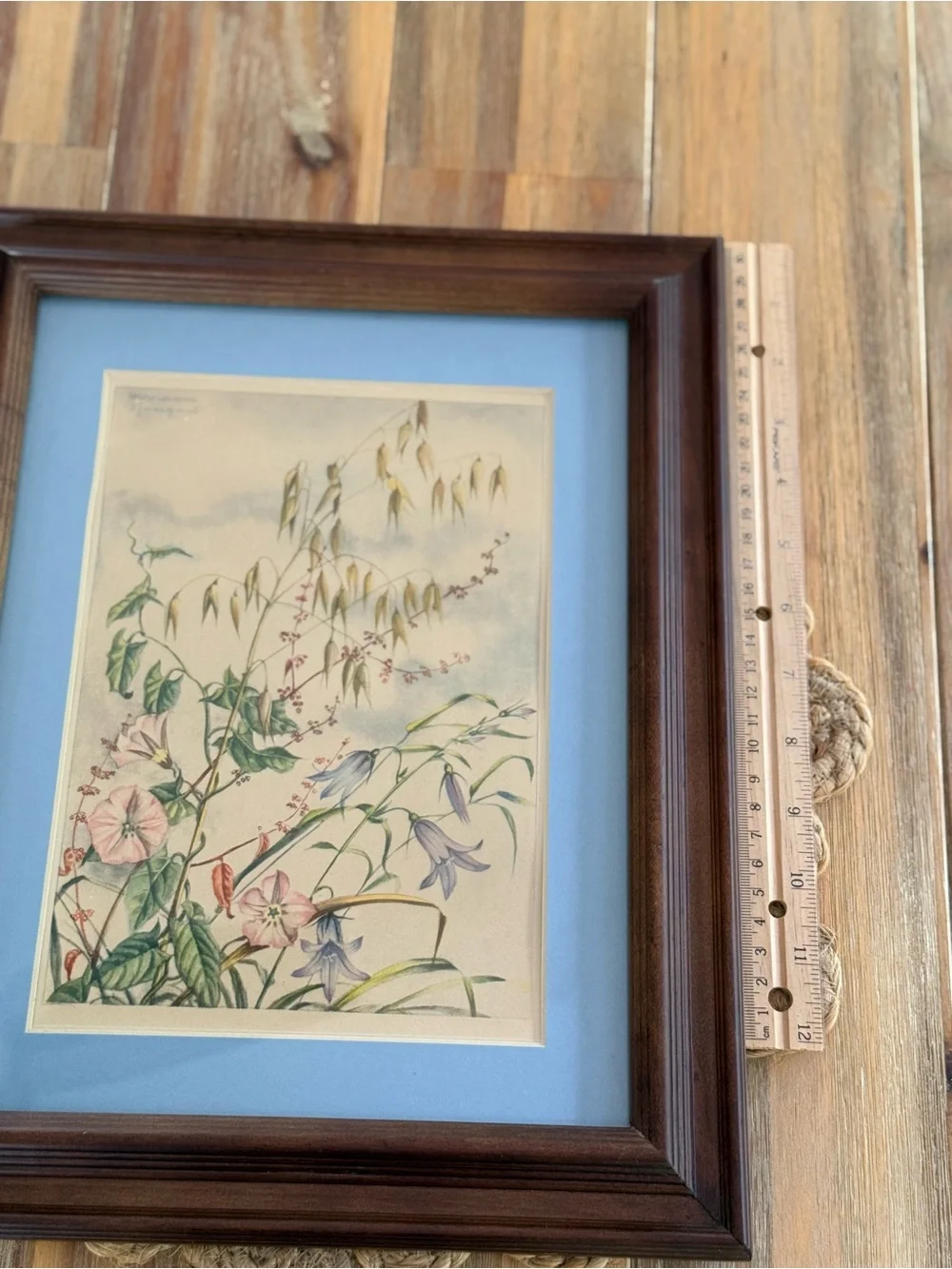 Framed Botanical Print with Blue Mat in Warm Wood Frame